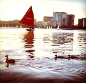 MIT sailboats.